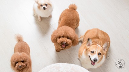 Trezor钱包