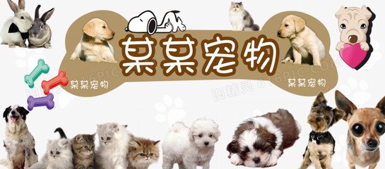 okpay钱包链接打不开