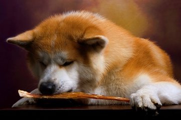小狐狸钱包官网