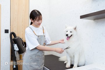 怎么查找自己账号的ok钱包地址