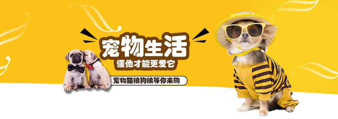 im钱包下载安装最新版