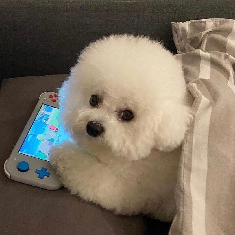 okpay钱包app是哪个